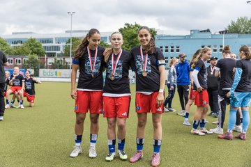 Bild 172 - wCJ Pokalfinale (HSV - ETV)